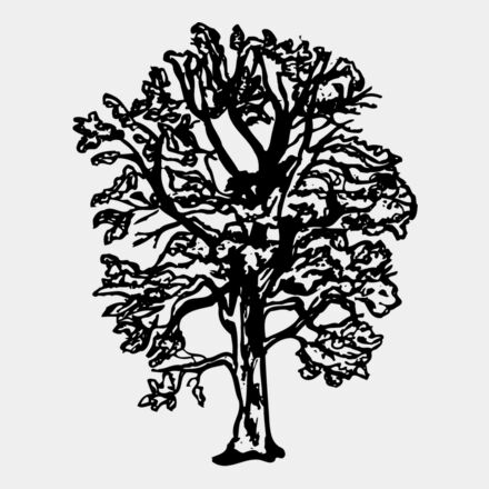 TREE0018 Thumbnail