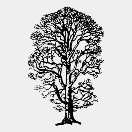 TREE0021 Thumbnail