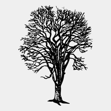 TREE0022 Thumbnail