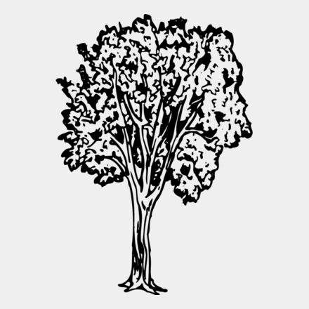 TREE0024 Thumbnail