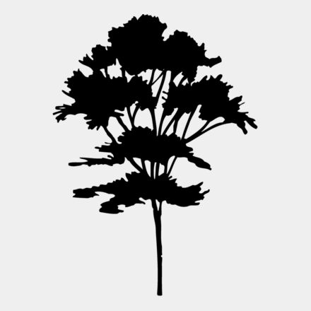 TREE0025 Thumbnail