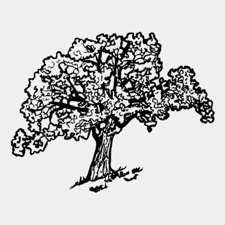 TREE0027 Thumbnail
