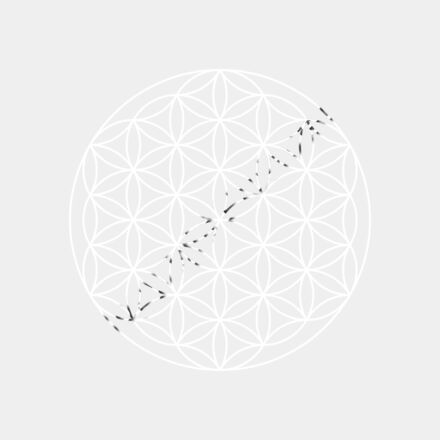 The Flower of Life Thumbnail