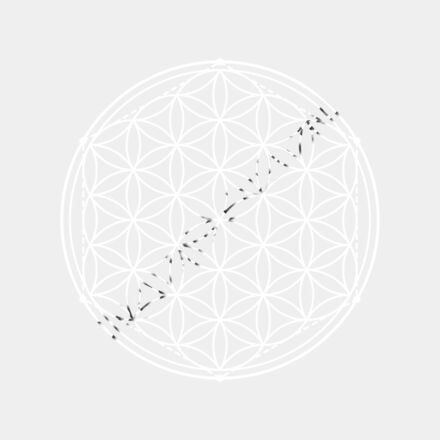 The Flower of Life Stylized Thumbnail