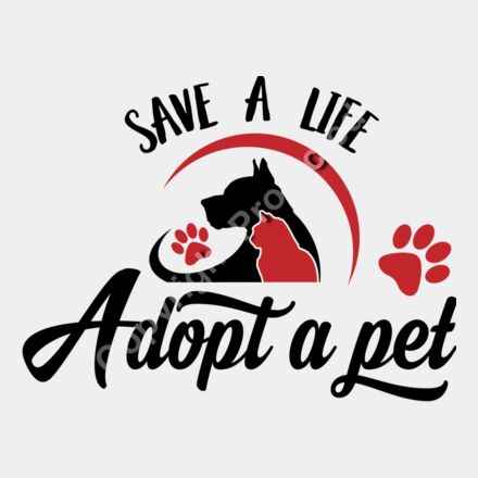 Adopt a pet Thumbnail