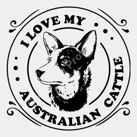 Australian Cattle dog Thumbnail
