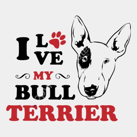 Bull terrier Thumbnail