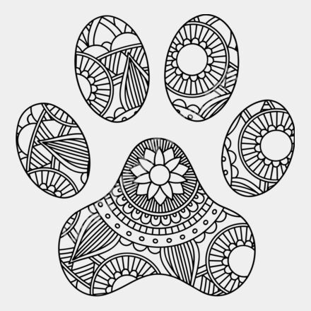 dog paw Thumbnail