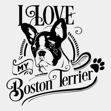 I love my boston Terrier new b Thumbnail
