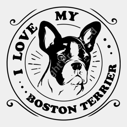 I love my Boston Terrier Thumbnail