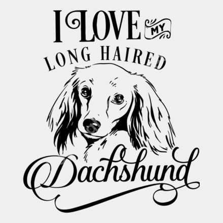 I love my long haired Dachshund Thumbnail