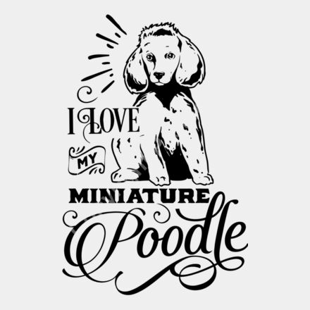 Love my miniature poodle 2 Thumbnail