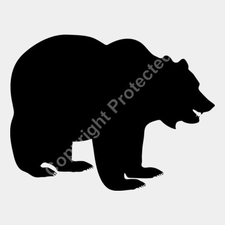 bear Thumbnail