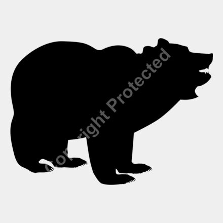 bear2 a  2  Thumbnail