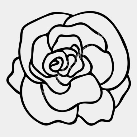 rose Thumbnail