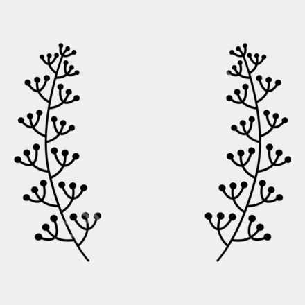 Laurel B  5  Thumbnail