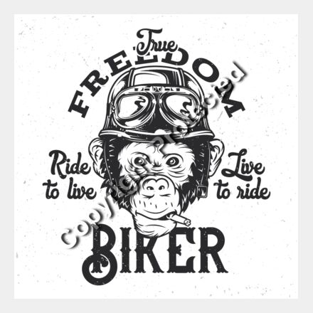 monkey2 set 2 Thumbnail