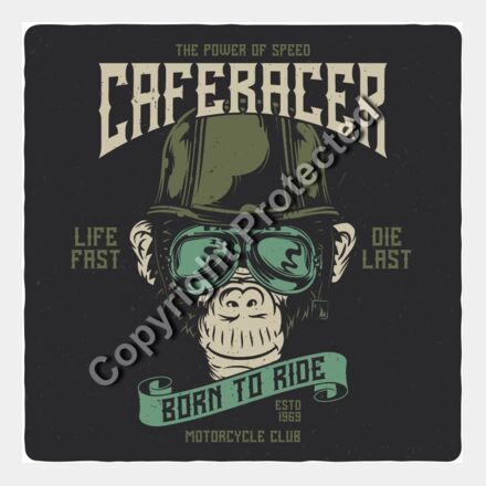 monkey2 set 5 Thumbnail