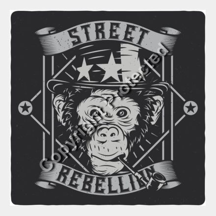 monkey2 set 6 Thumbnail