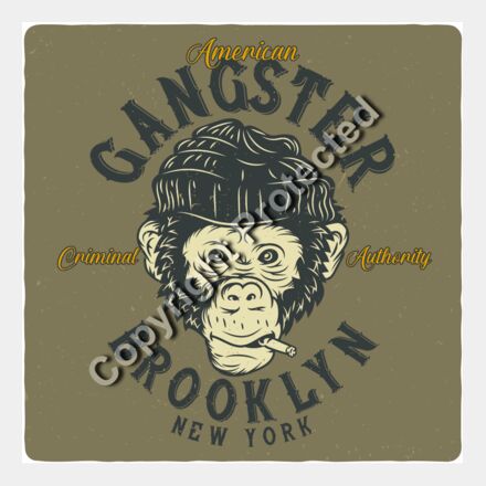 monkey2 set 8 Thumbnail