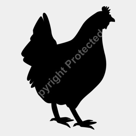 chicken Thumbnail