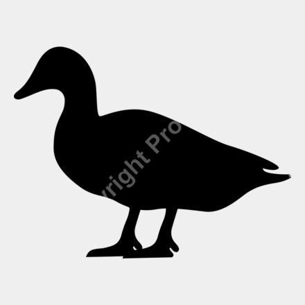 duck Thumbnail