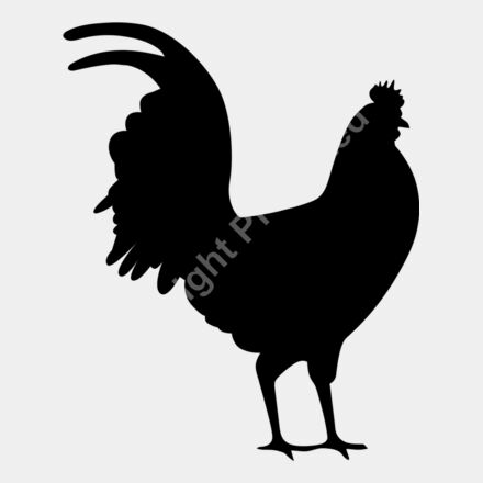 rooster 2 Thumbnail