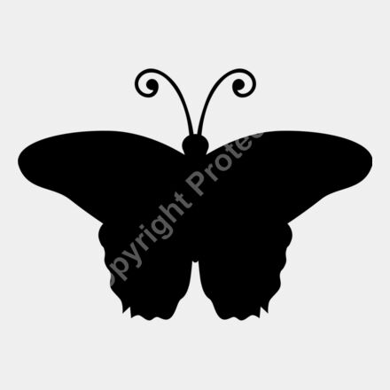 butterfly Thumbnail