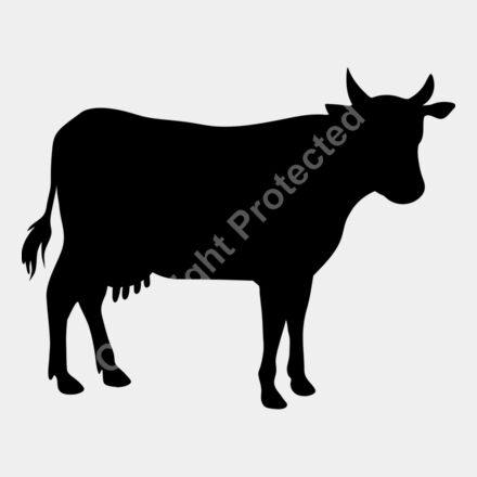 cow Thumbnail
