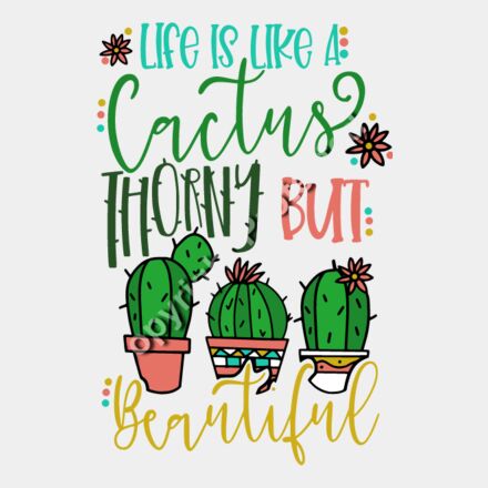 Life Is Like A Cactus Thumbnail