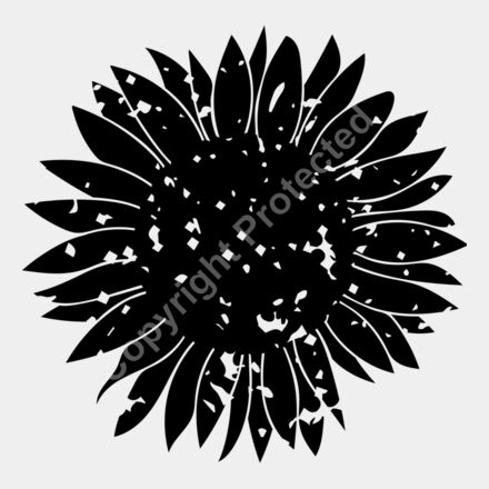 distressed black Thumbnail