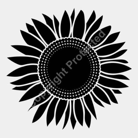 sunflower A black Thumbnail