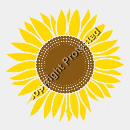 sunflower A Thumbnail