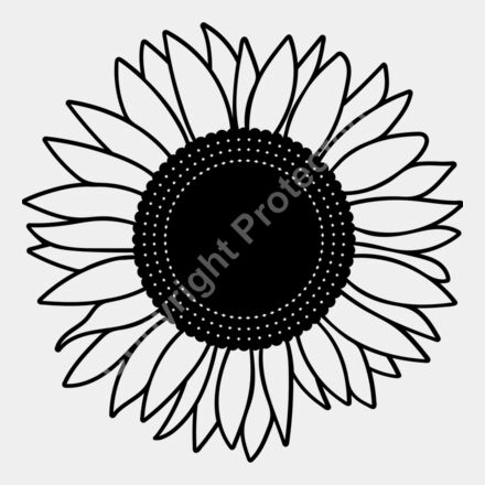 sunflower black Thumbnail