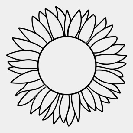sunflower circle Thumbnail