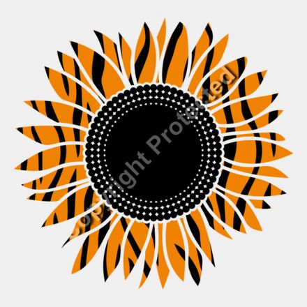 sunflower tiger Thumbnail