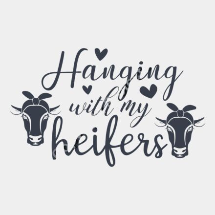 hanging heifers 01 Thumbnail