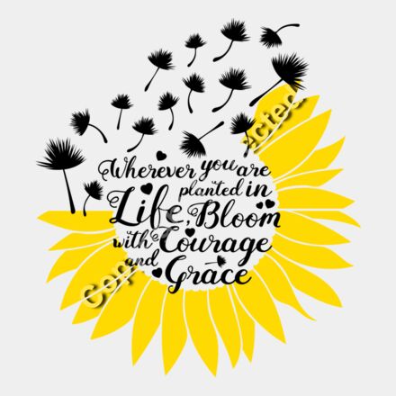 dandelion sunflower Thumbnail