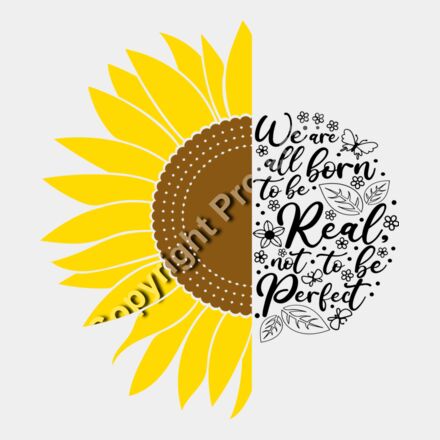 sunflower flowers Thumbnail