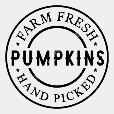 fresh pumpkins 1 01 Thumbnail