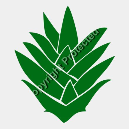 pineapple 05 Thumbnail