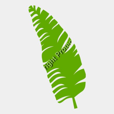 trop leaves  3  Thumbnail