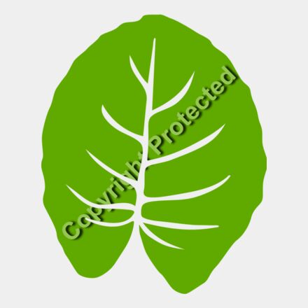 trop leaves  6  Thumbnail