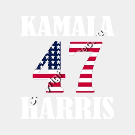 kamala harris 2024 campaign american flag design 47 Thumbnail