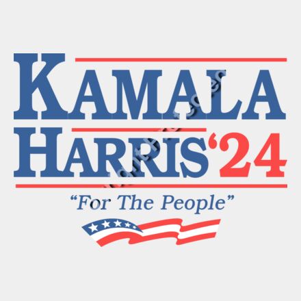 Kamala Harris 2024 campaign graphic featuring text and American flag elements    kamala harris 2 Thumbnail