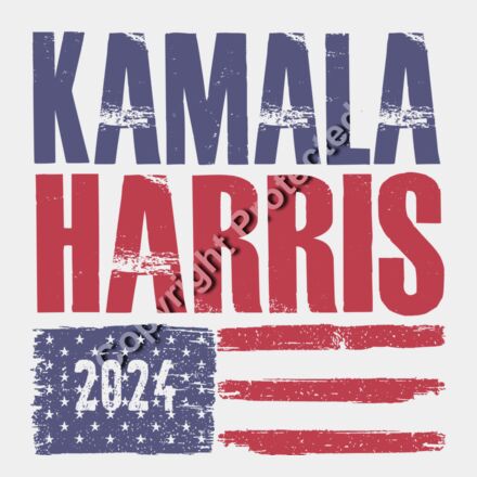 Kamala Harris 2024 campaign graphic with bold text and American flag elements  Thumbnail