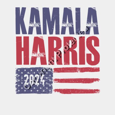 Kamala Harris 2024 campaign graphic with distressed text and American flag elements  Thumbnail