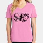 Women's Core Cotton V Neck Tee Thumbnail