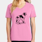 Women's Core Cotton V Neck Tee Thumbnail