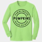 Youth Long Sleeve Core Cotton Tee Thumbnail